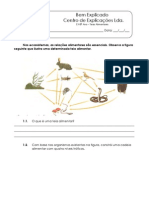 1.2.2 - Ficha de Trabalho - Teias Alimentares