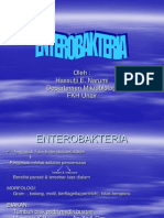 2_ENTEROBAKTERIA