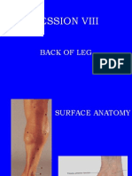 Session Viii: Back of Leg