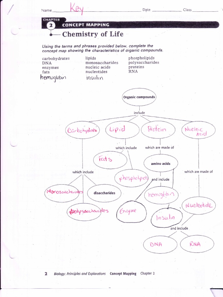 Worksheets The Chemistry Of Life Worksheet chemistry of life chapter 2 biochemistry carbohydrates