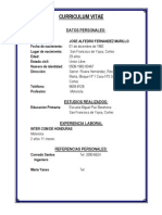 Curriculum Vitae Jose Alfedro Fernandez Murillo