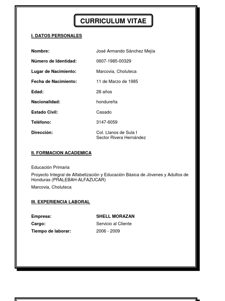Curriculum Vitae Jose Armando Sanchez Mejia PDF