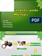 Mutasi Indusi Pada Manggis