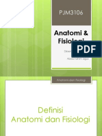 Anatomi & Fisiologi