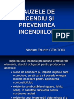 Cauzele de Incendiu Si Prevenirea Incendiilor