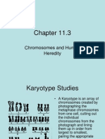 Chapter 11-3.ppt