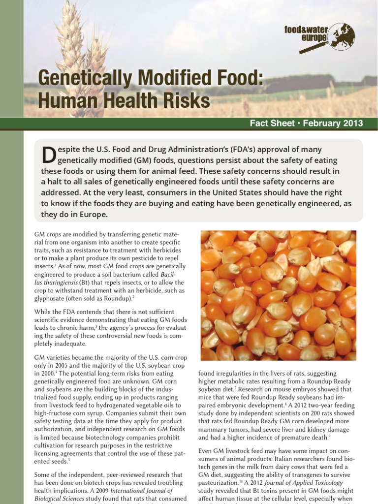 Health Risks of GM Foods Explained | PDF | Genetically Modified Food ...