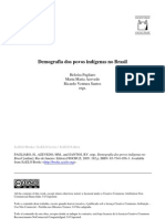 Demografia Dos Povos Indigenas No Brasil