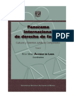 Panorama Internacional de Derecho de Familia - Tomo I