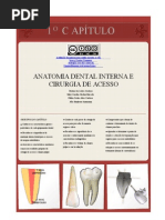 Anatomia Interna Dental Rielson