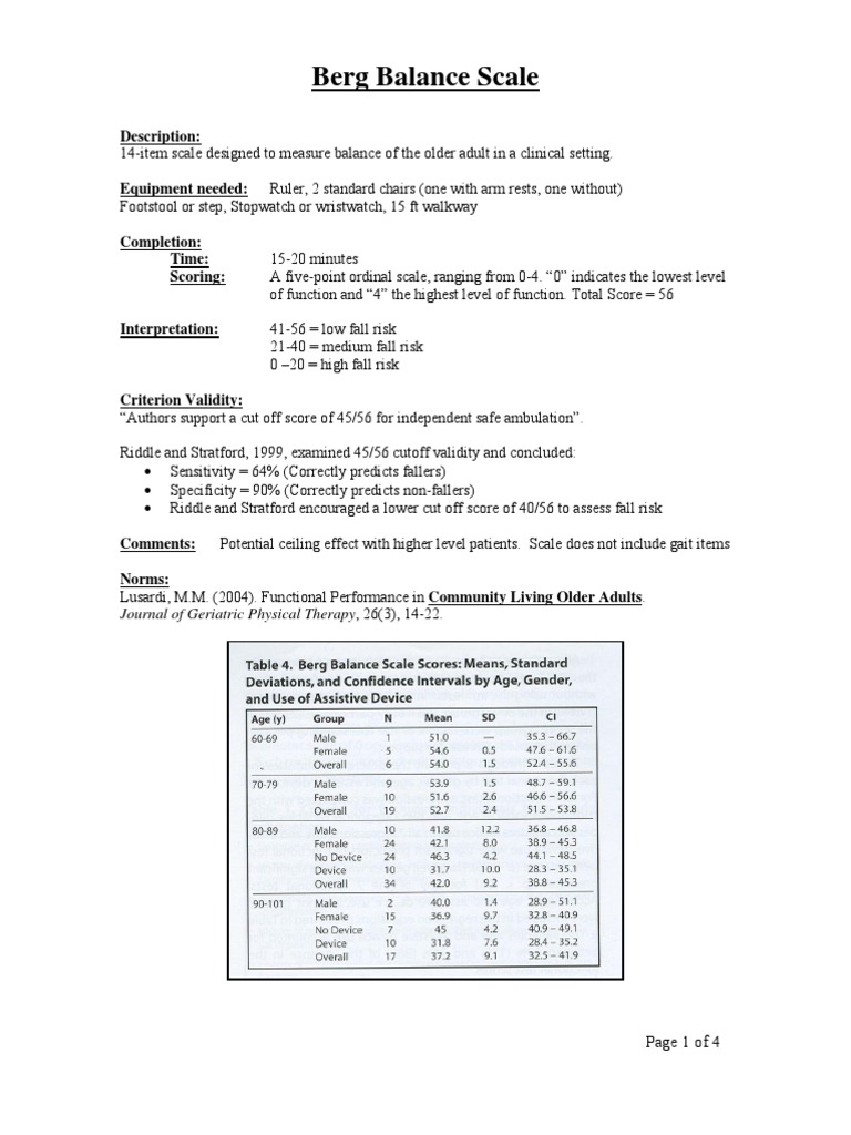 Berg Balance Scale Chair