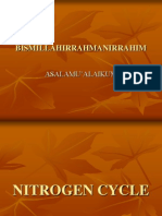 Nitrogen CYCLE