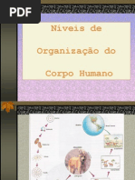 Aula Tecidos - Simplificado