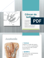 Cáncer de Testículo