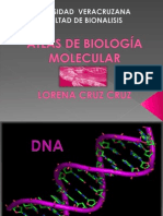 Atlas de Biología Molecular