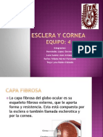 expo esclera y cornea.pptx