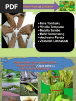 Download Hama-Hama pada Padi FASE GENERATIF_KLP 2ppt by Irma Tombuku SN128808707 doc pdf