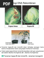 Download Kuliah 7 Teknologi DNA Rekombinanpdf by Dilla Novita SN128816668 doc pdf