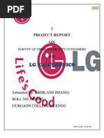 Project Report On LG Electronics