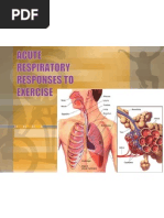 Acute Respiratory Changes To Exercise