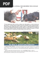 o Verdadeiro Animal Nem Sempre Tem 4 Patas - 1!