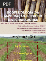 Ecofiologia Da Maturação e Uso de Maturadores - Carlos Alexandre Costa Crusciol