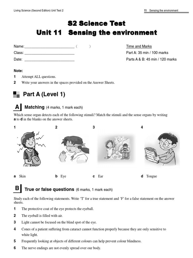 11 Sensing The Environment PDF | PDF | Hearing | Senses