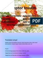 Reseptor Insulin
