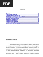 Visão Sistêmica da Família