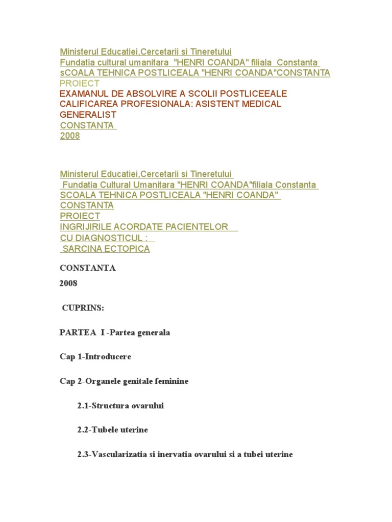 Model Lucrare Licenta | PDF