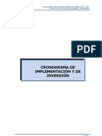 CAP VIII _CRONOGRAMA DE IMPLEMENTACIÓN Y DE INVERSIÓN