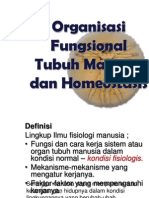 Organisasi Fungsional Tubuh Manusia Dan Homeostasis