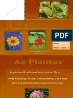 As Plantas cn6d 120604071203 Phpapp01