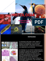 Neralidades Histologia