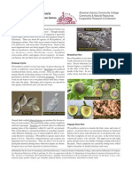 brochureno12.pdf