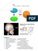 Articulatio