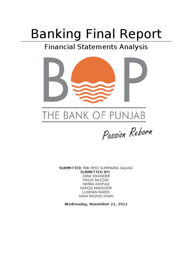 Bank of Punjab Final Balance Sheet Analysis PDF Financial Capital