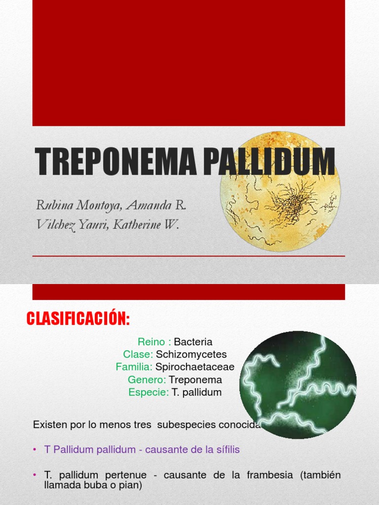 Treponema Pallidum Medicina Microbiología