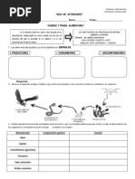 Guia Cadena Alimenticia