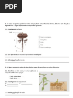 Ficha de Avaliação CN5 - plantas.pdf