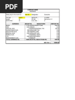 Salary Slips Format (24K views)