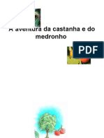 A Aventura Da Castanha e Do Medronho