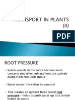 Transport in Plants (II)