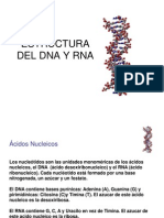 TEMA 1. Estructura Del DNA