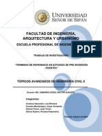 Trabajo de Investigacion - Terminos de Referencia Pip - Puente