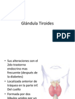 Glandula Tiroides