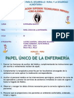 Grupo 4 Papel Unico de La Enfermeria