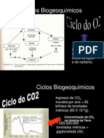 Setima Aula Ciencia 2010