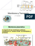 Membrana y Transporte