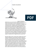 Globalização e Fluxos de Capitais